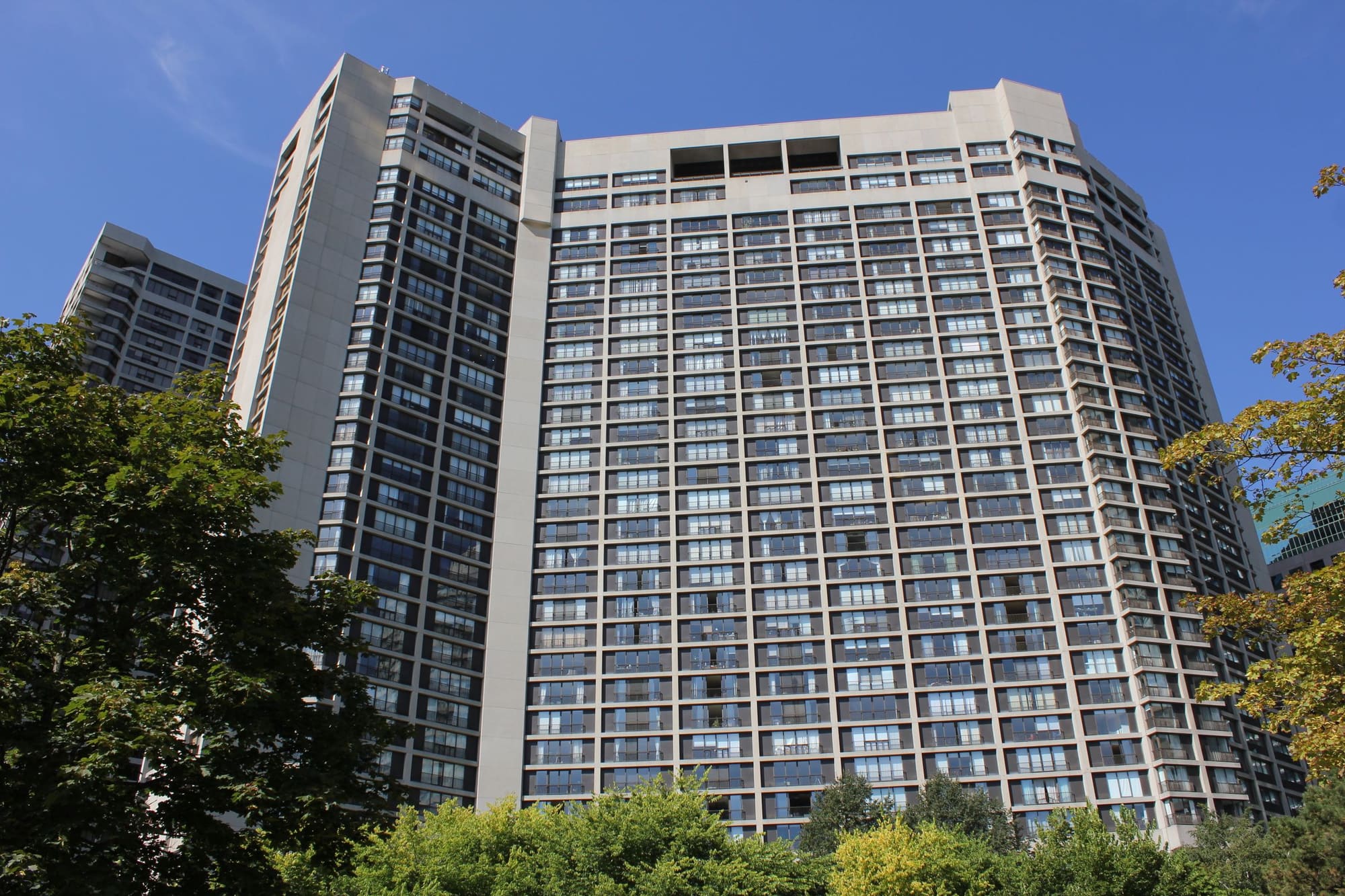 Older high-rise condominium towers above the trees